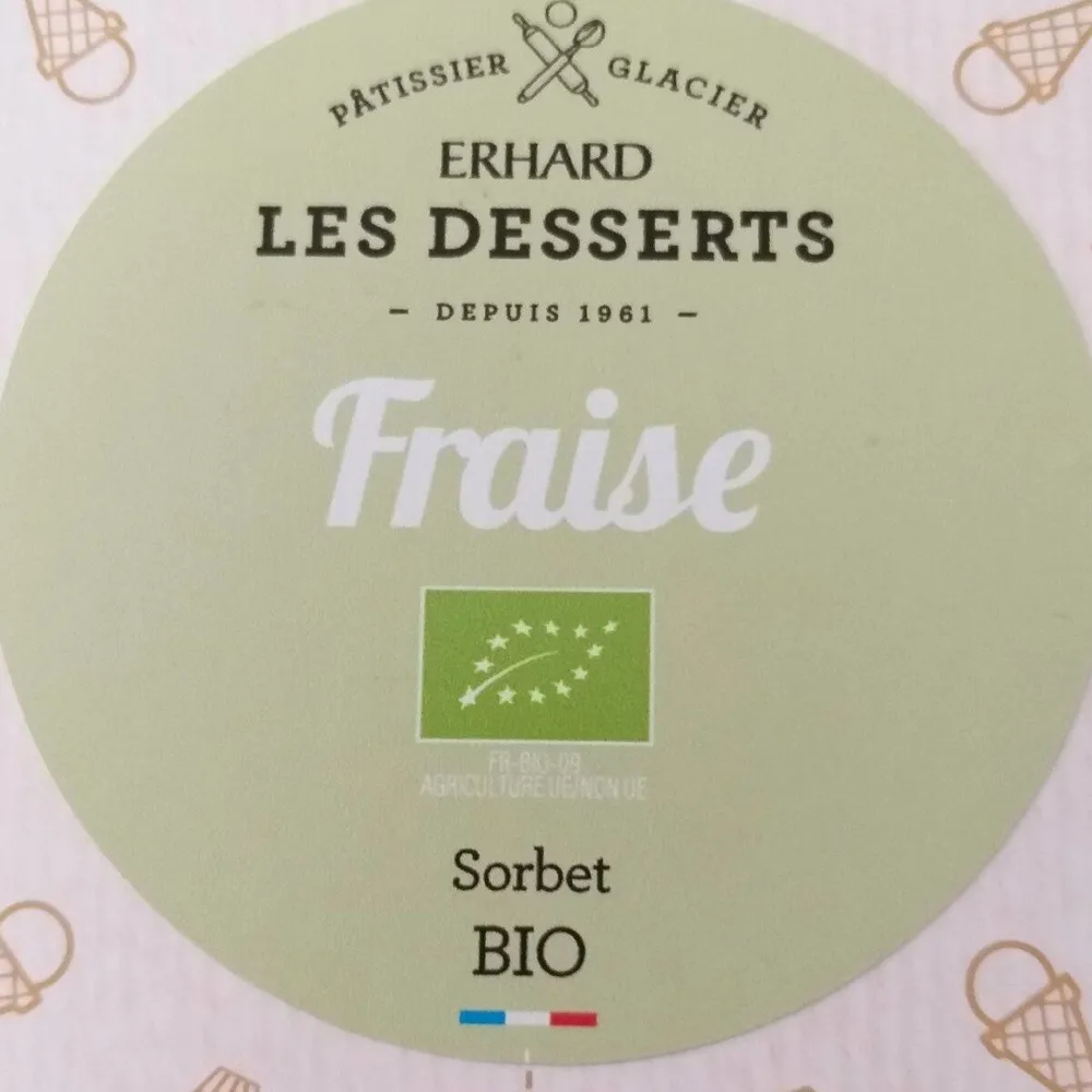 Sorbet fraise  bio