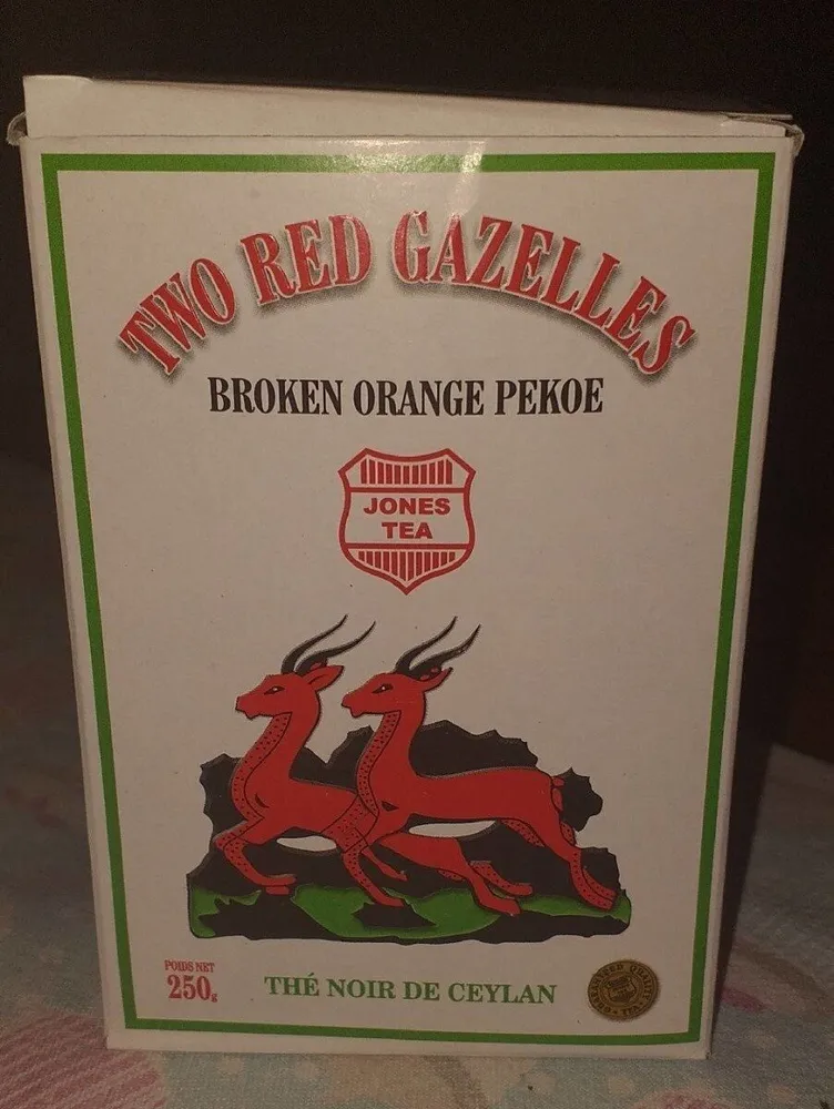 Two red gazelles