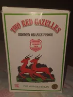 Two red gazelles