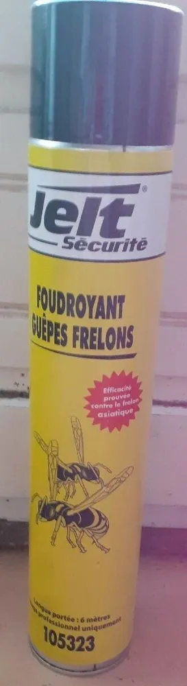 Foudroyant guêpes et frelons
