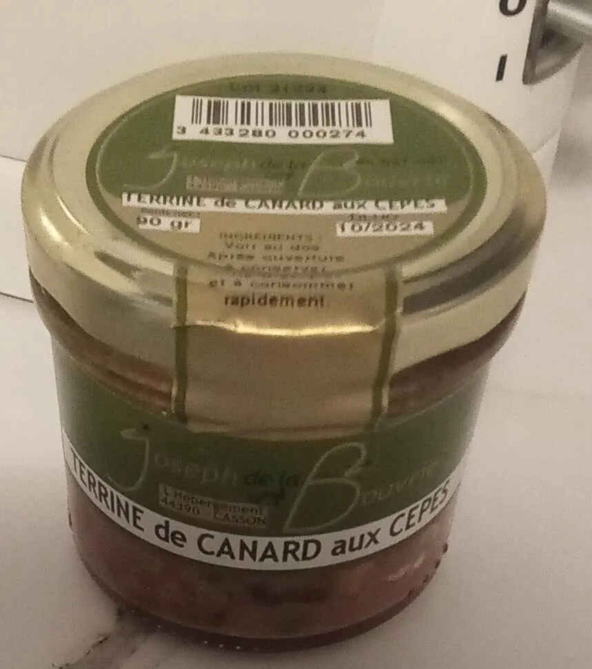 TERRINE de CANARD aux CEPES