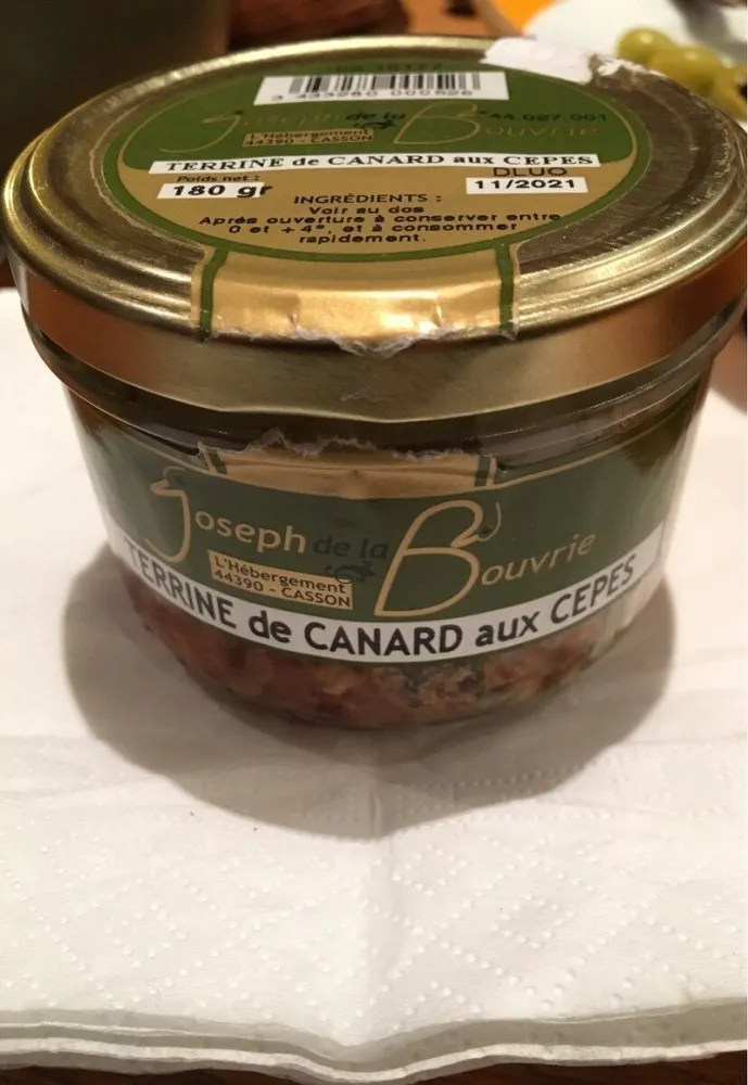 TERRINE DE CANARD AUX CEPES