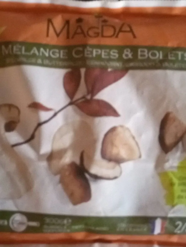 Mélange champignons