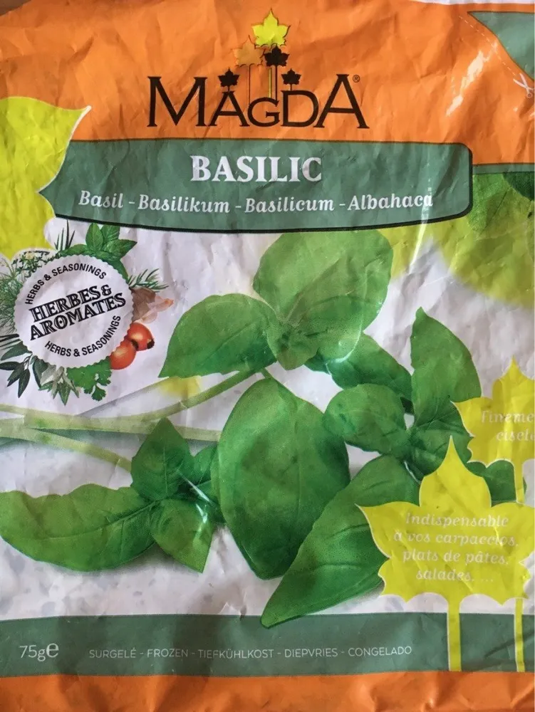 Basilic