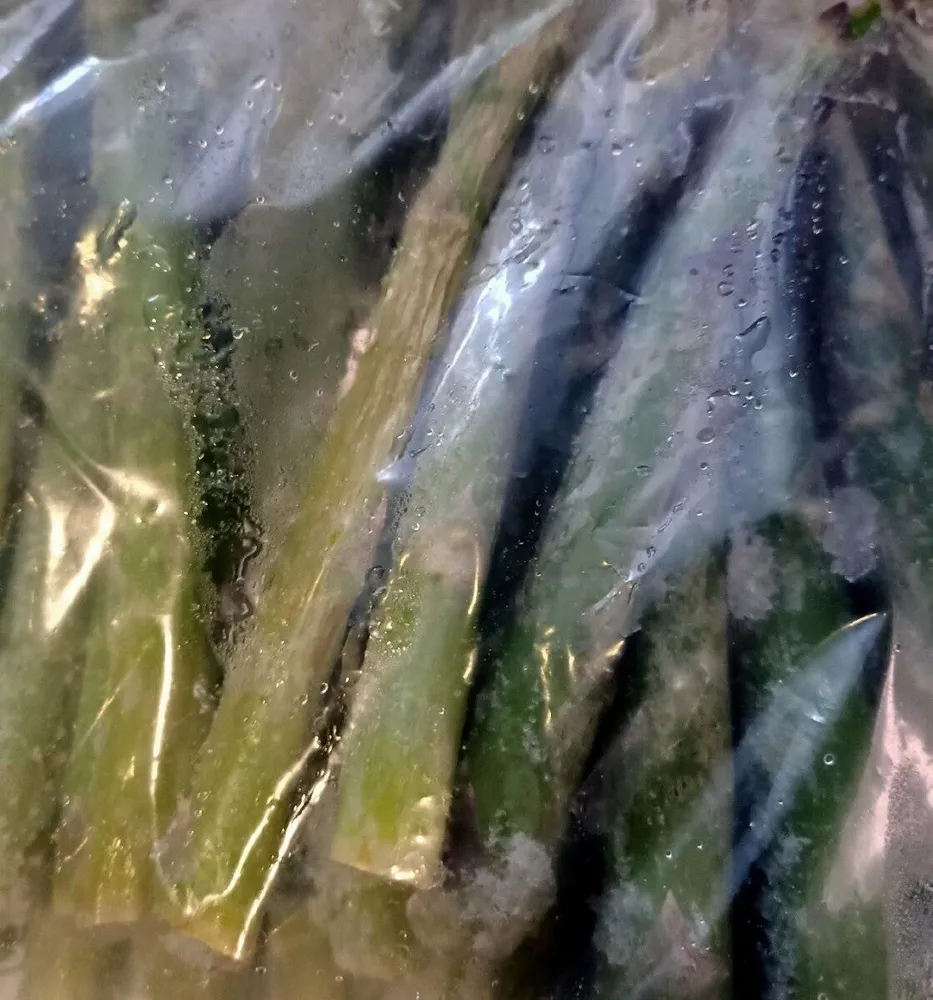 Asperges vertes/GR.M