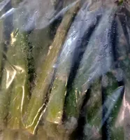 Asperges vertes/GR.M
