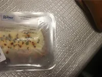 Farci fromagere au saumon