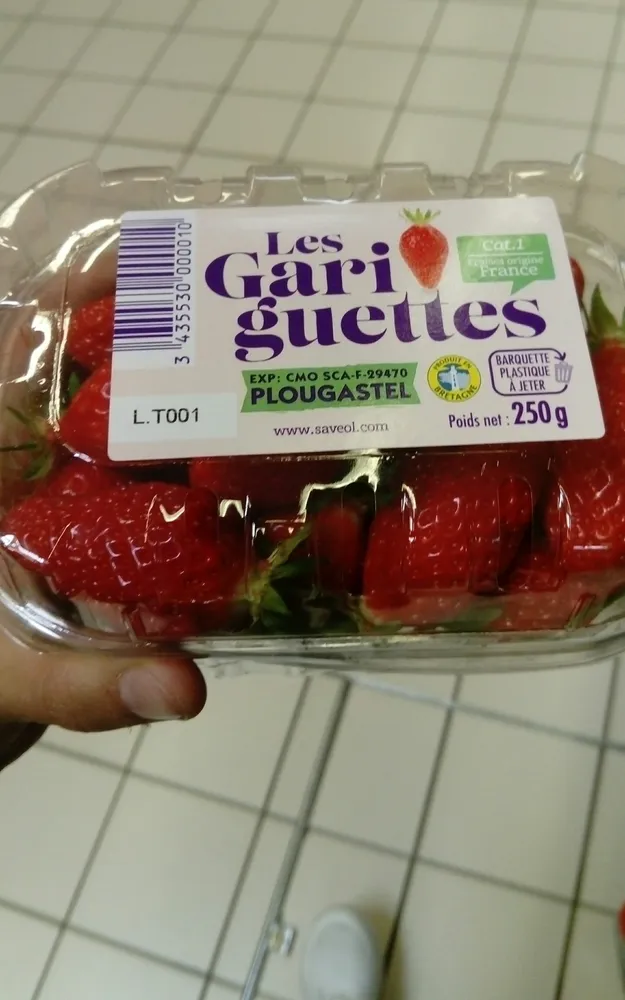 Fraises gariguette, barquette de