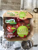 Tomates Coeurs-de-Pigeon sans pesticides