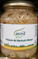 Pousses de Haricots Mungo