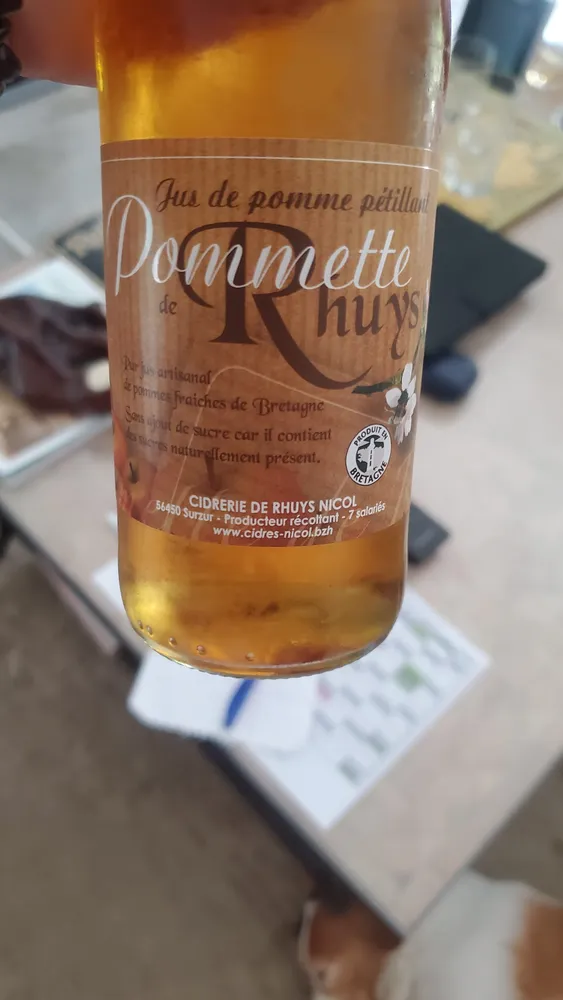 Jus de pomme petillant pomette