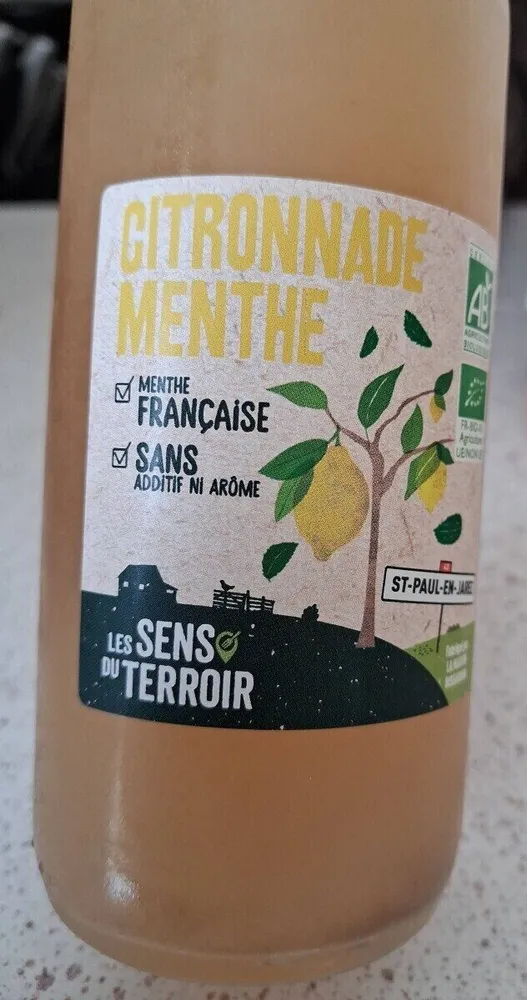 Citronnade menthe