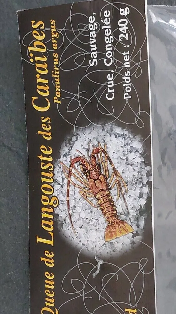 Queue de langouste des Caraïbes