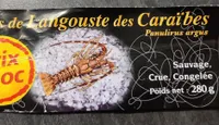 Queue de Langouste blanche - Panuslirus argus Sauvage