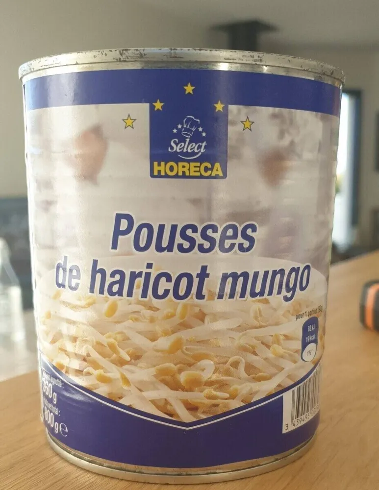 Pousse de haricot Mungo