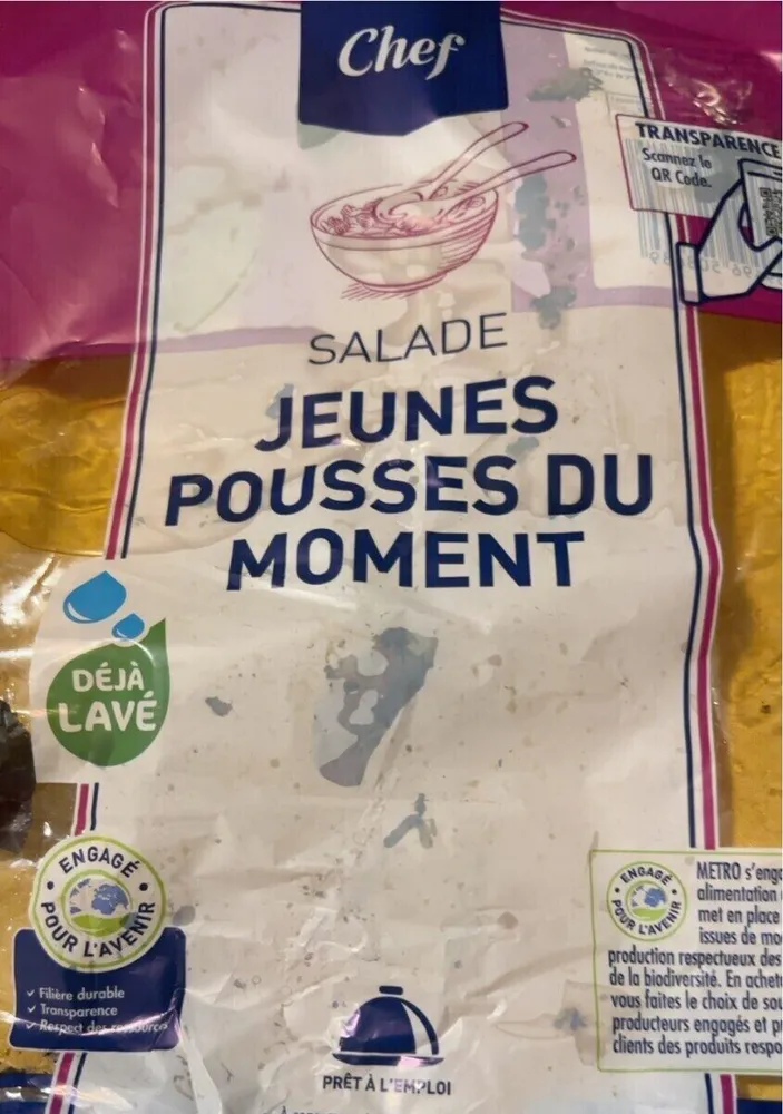 Jeunes pousses du moment
