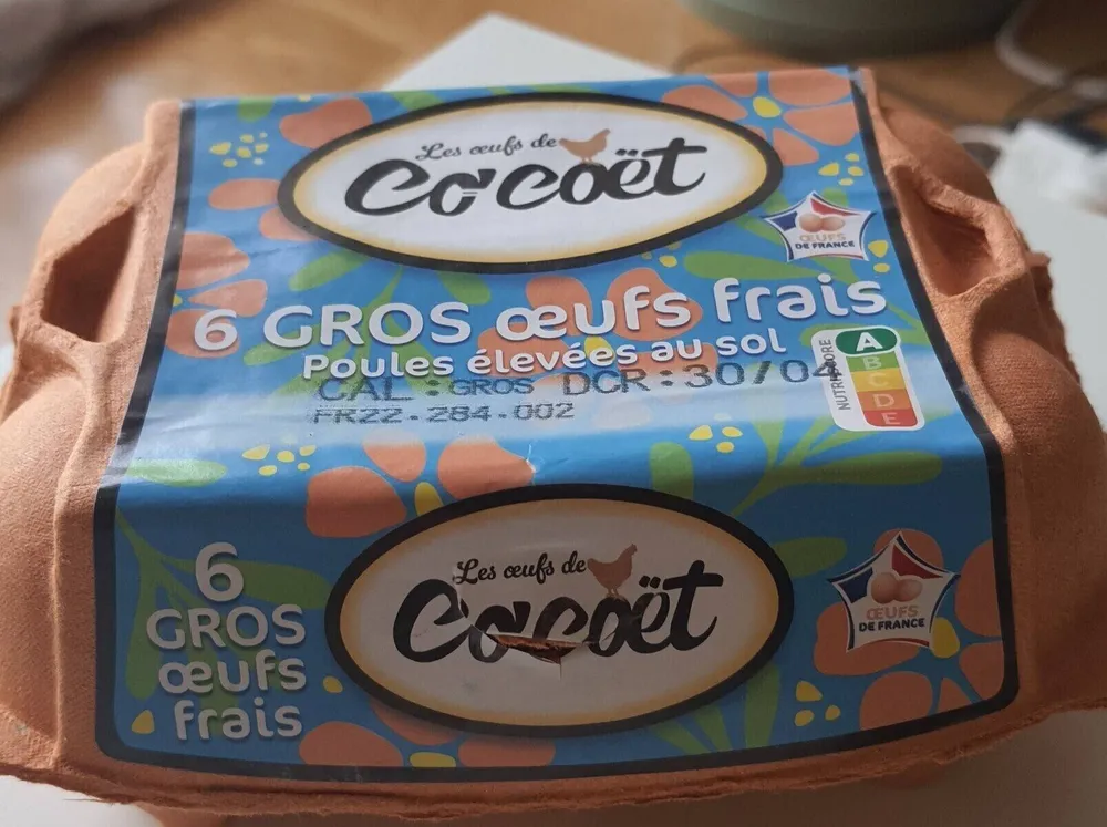 Gros œufs frais