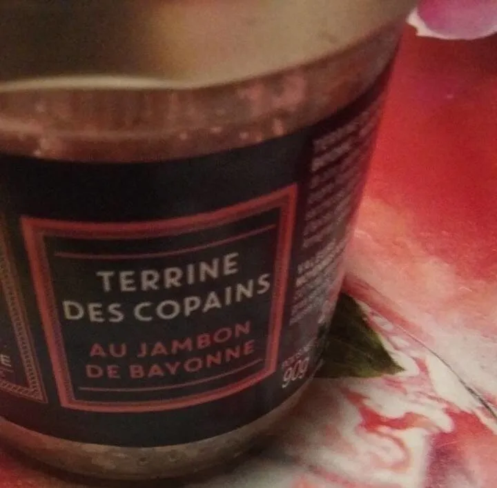 Terrine des copains