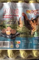 Œuf frais de poules élevées en plein air