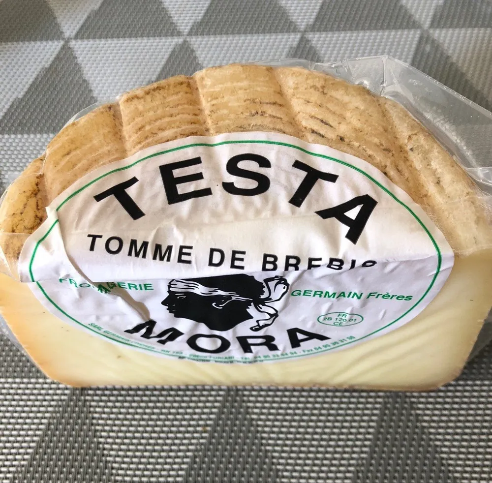 Testa mora