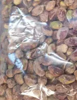 Pistaches décortiquées