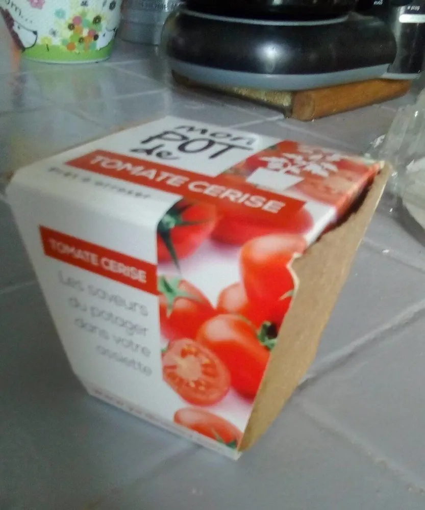 Tomates cerises à faire pousser