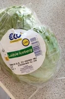 Laitue iceberg