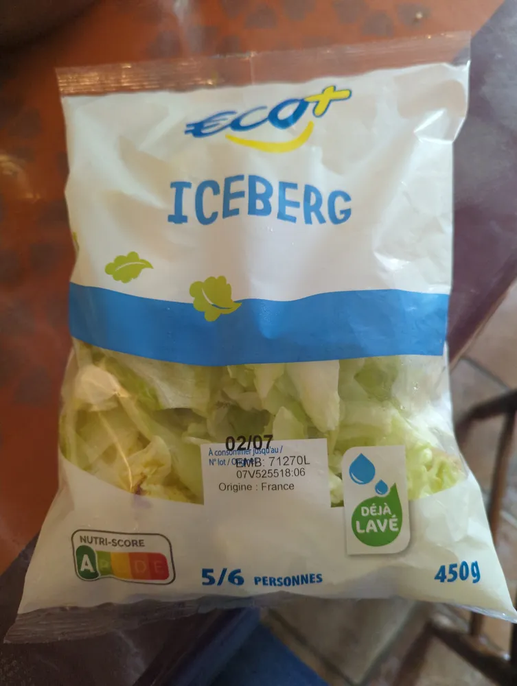 Iceberg