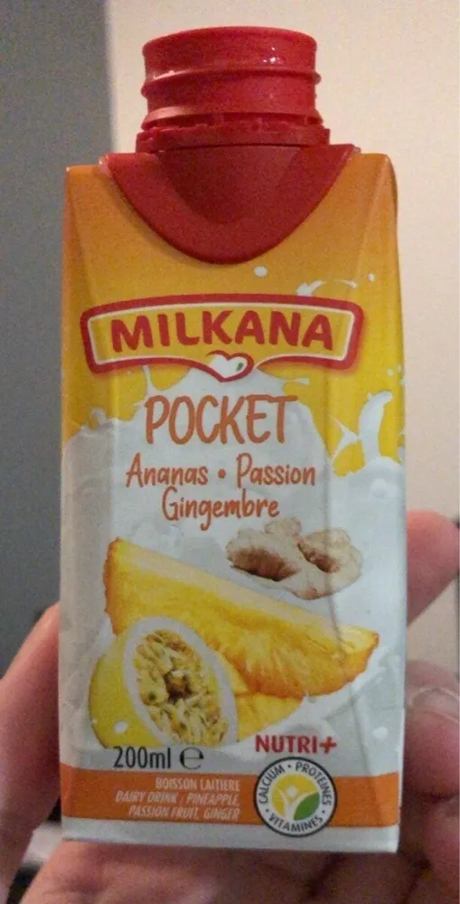 Pocket Ananas Passion Gingembre