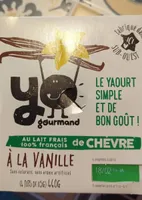 Yo gourmand brebis vanille