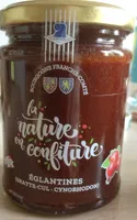 Confiture d’eglantines