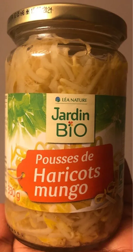 Pousses de haricots mungo