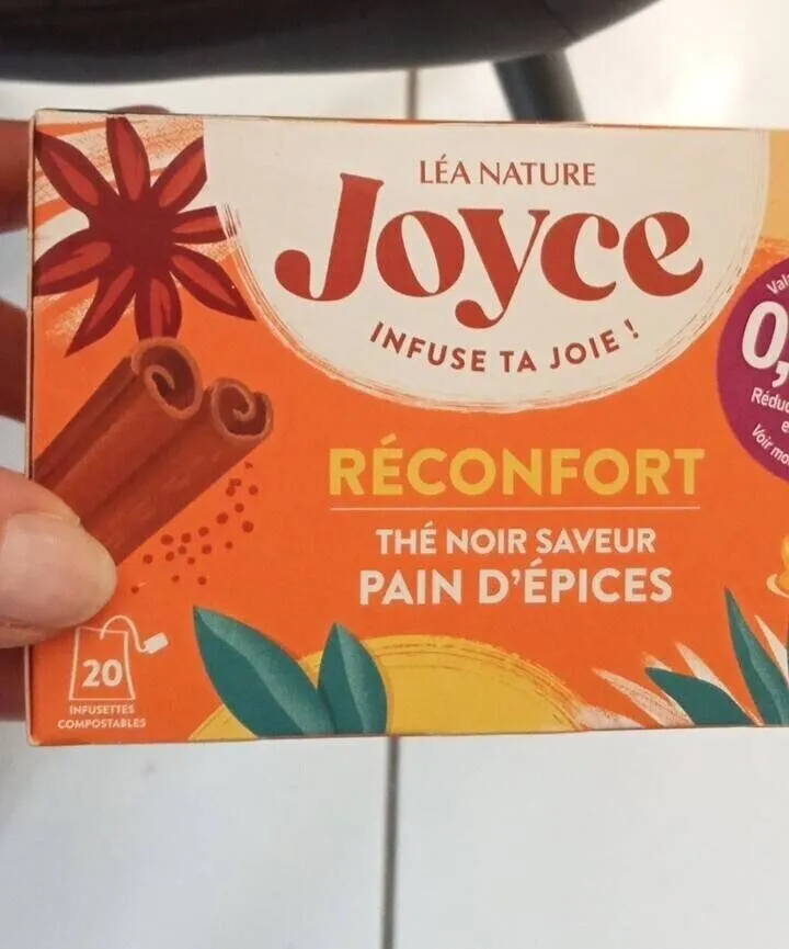 Réconfort thé noir saveur pain d'épices Léa nature