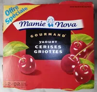 Yaourt Gourmand Cerises Griottes