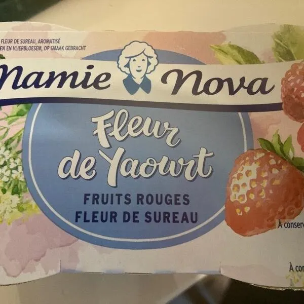 Fleur de yaourt fruits rouges fleur de sureau