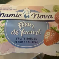 Fleur de yaourt fruits rouges fleur de sureau