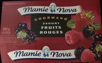 Yaourt gourmand fruits rouges