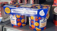 Yaourt orange sanguine - kumquat