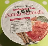Yaourt aux fruits pomme cannelle