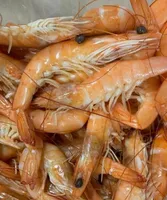 Crevettes roses