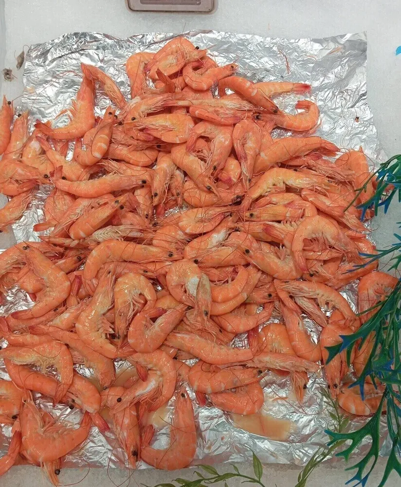 Crevettes Cuites réfrigérées
