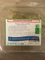 Pousses D'Alfalfa