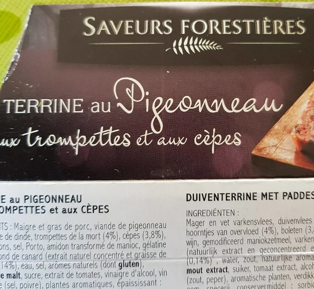 Terrine au Pigeonneau
