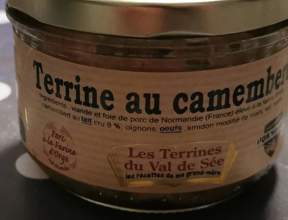 Terrine au camembert