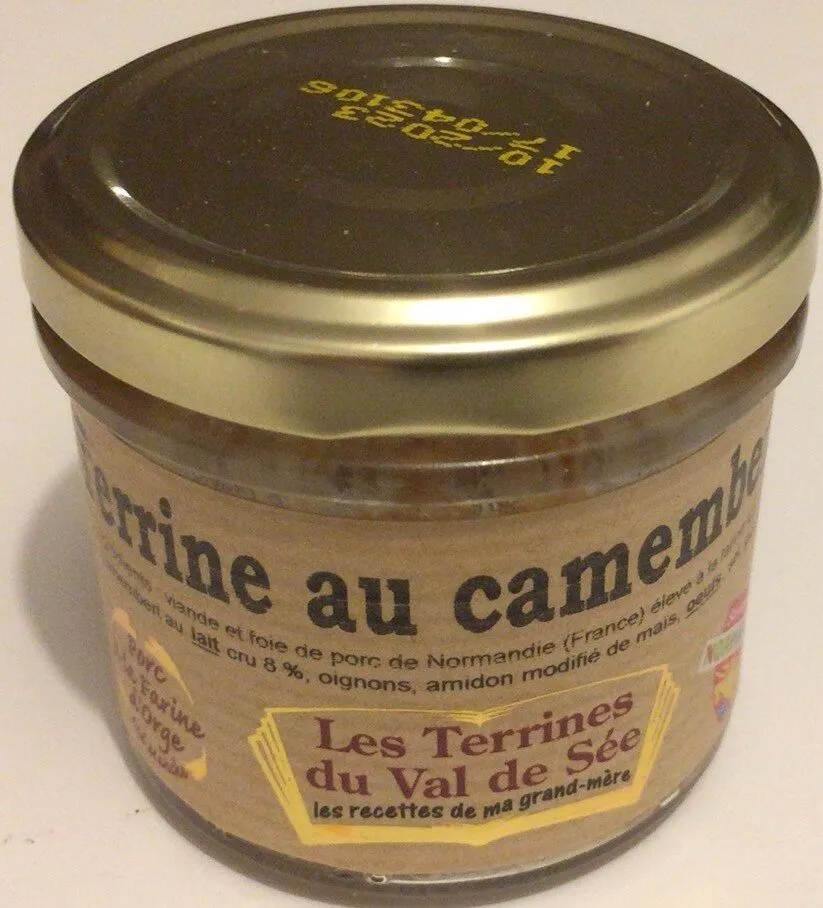 Terrine au camembert