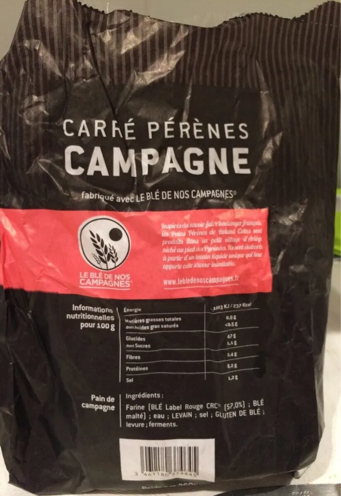 Carré pérènes campagne