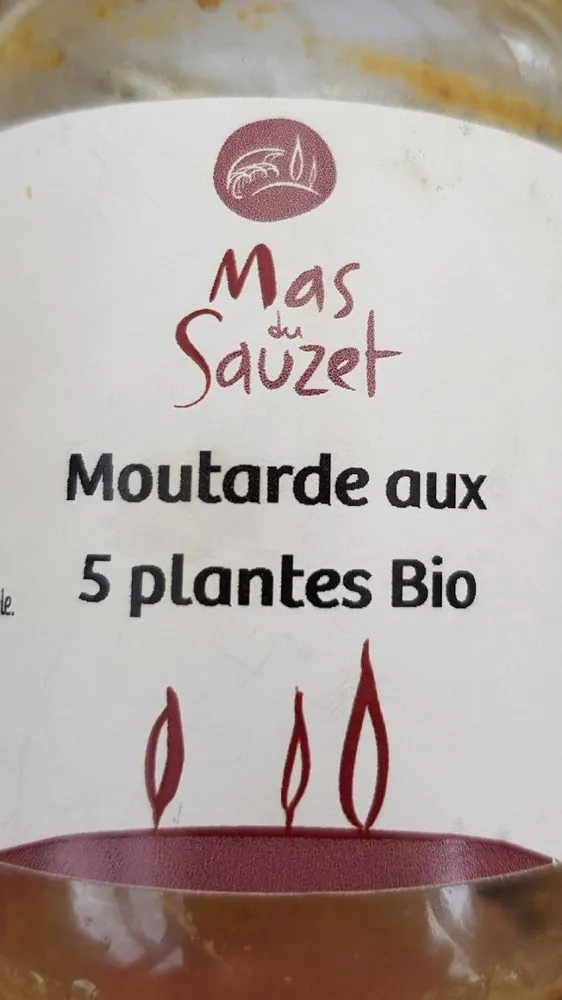 Moutarde aux 5 plantes Bio