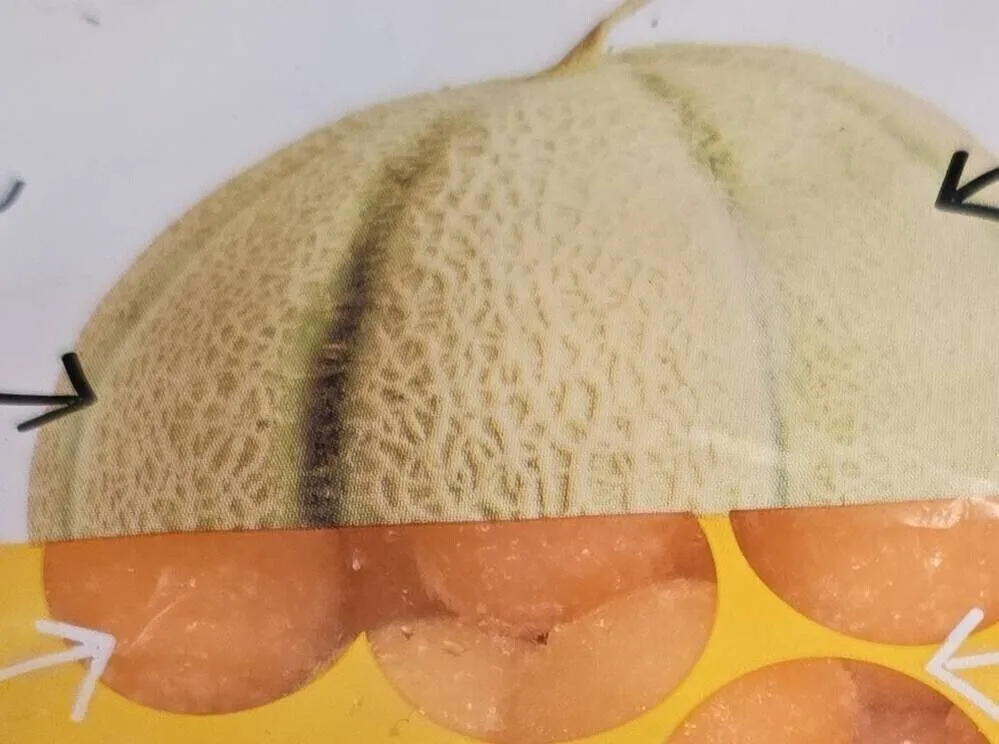 Melon en bille
