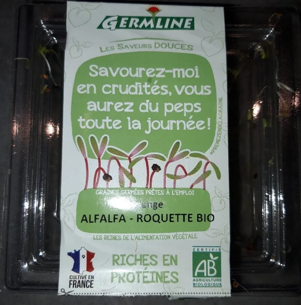 Alfalfa Roquette bio