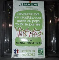 Alfalfa Roquette bio